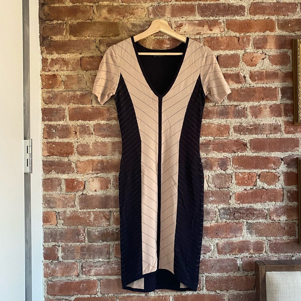 Torn by Ronny Kobo Bodycon Knit Dress